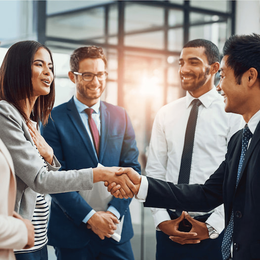 a group of business associates shake hands